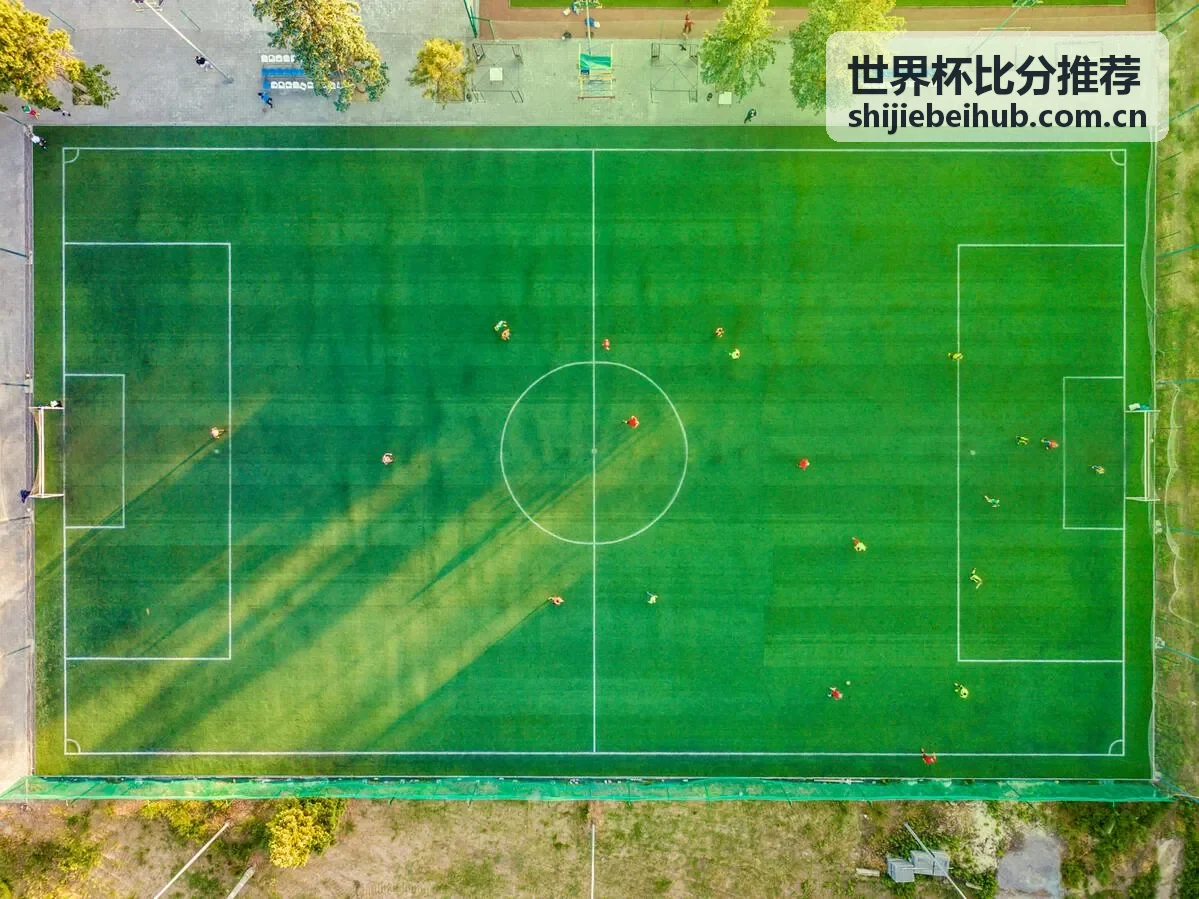 世界杯比分推荐专家 - 王教练